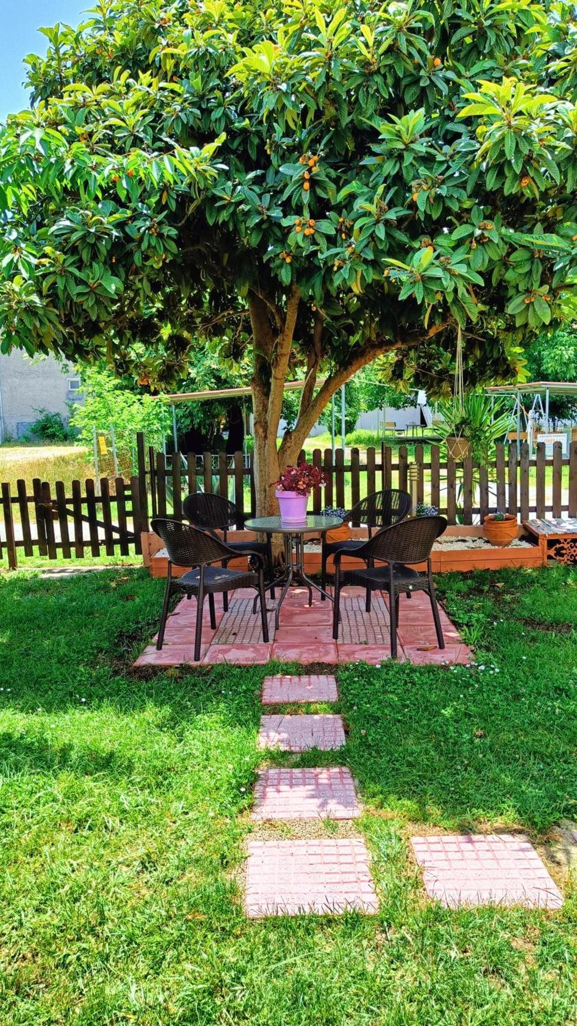 Garden House Katerina Leptokarya (Pieria) Exterior foto