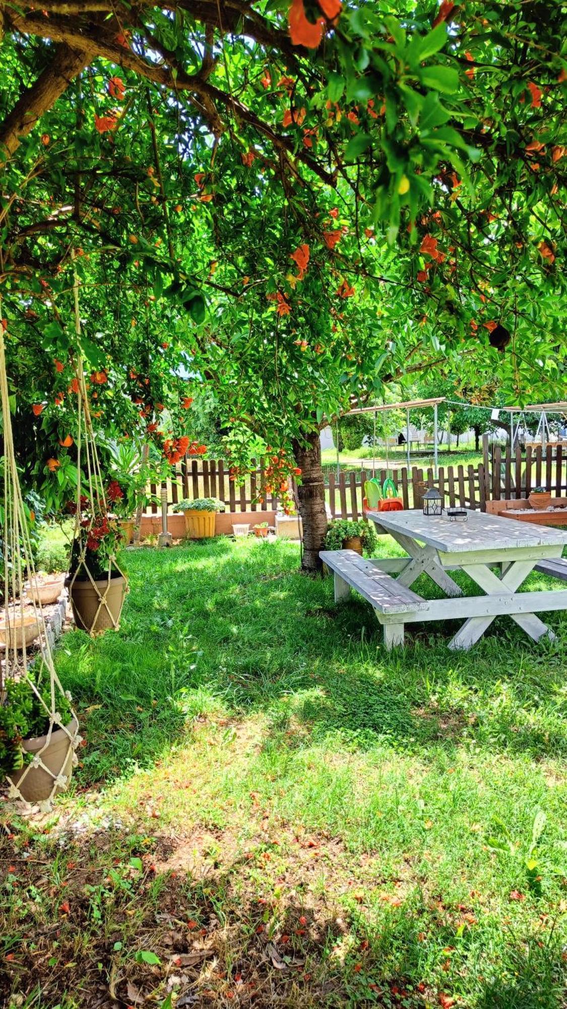 Garden House Katerina Leptokarya (Pieria) Exterior foto