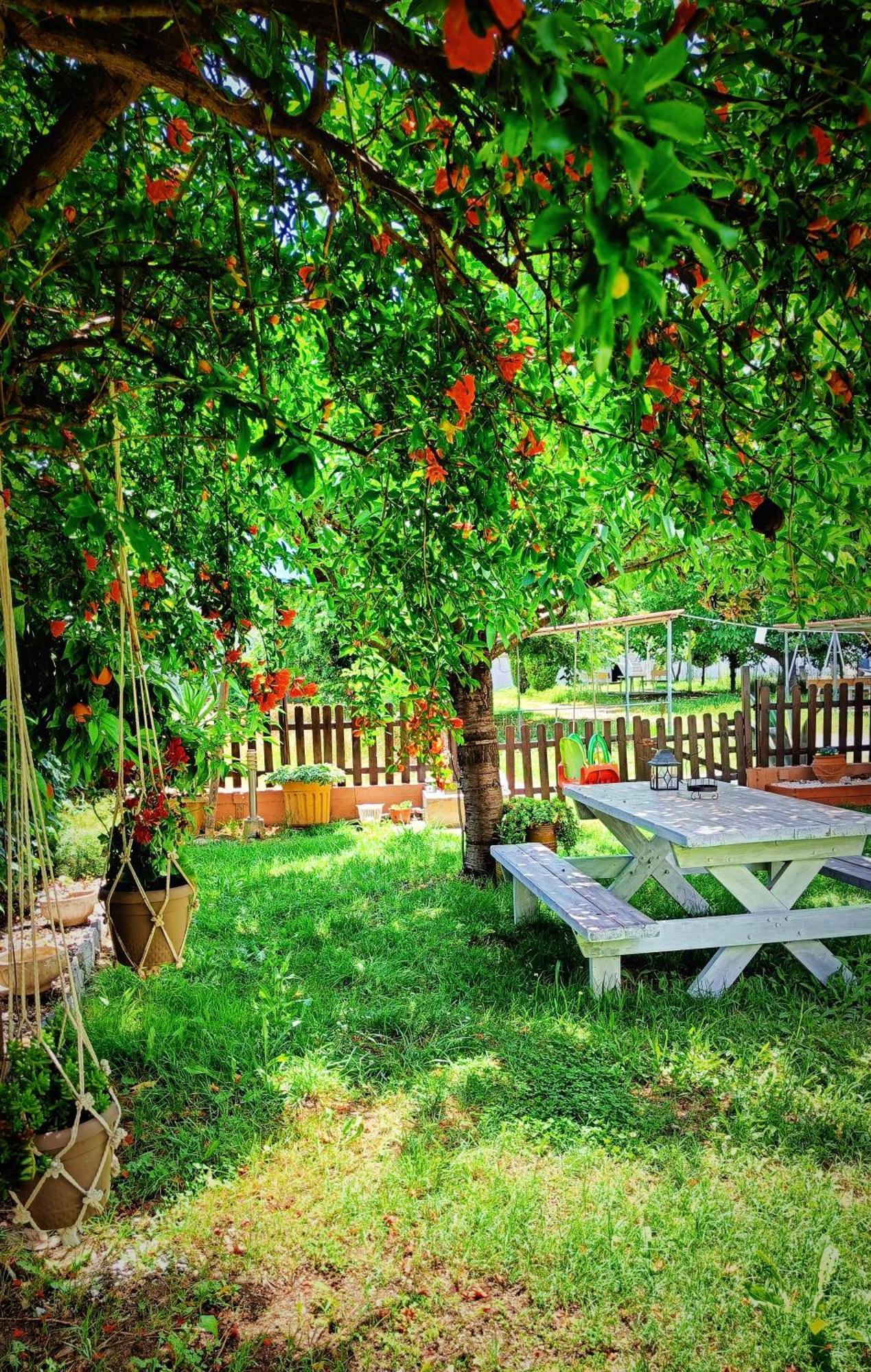 Garden House Katerina Leptokarya (Pieria) Exterior foto